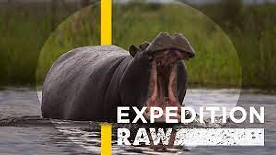 Expedition Raw - Close Call